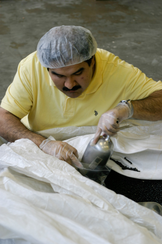 Mentor Jose Marquez volunteering at a local food bank